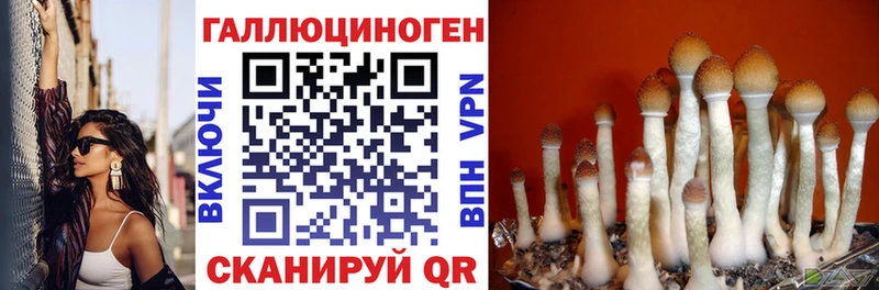Галлюциногенные грибы Psilocybine cubensis  Остров 